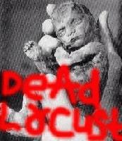 Picture for song 'LethalDoze' by artist 'DeAd LoCuSt'