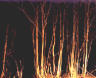 Picture for song 'The Forest' by artist 'DeAd LoCuSt'