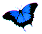 Picture for song 'proper things' by artist 'UNINOIZE'