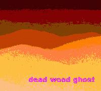 Picture for song 'Bruised By Your Leaving' by artist 'Dead Wood Ghost'