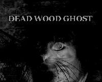 Picture for song 'Feed Your Greed' by artist 'Dead Wood Ghost'