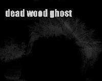 Picture for song 'Garden Song' by artist 'Dead Wood Ghost'