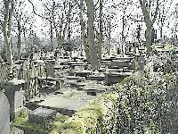 Picture for song 'The Way I Do' by artist 'Dean Madonia'