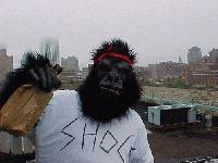 Picture for song 'Shock Therapy Sampler' by artist 'Death Child (ROCHESTER)'