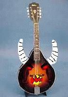 Picture for song 'Devil's Mandolin' by artist 'Death Cut Punk Rock Religion'