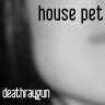 Picture for song 'house pet' by artist 'death ray gun'