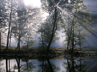 Picture for song 'Love Is The Light' by artist 'Debbie Day'