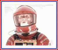 Picture for song 'Transmission' by artist 'DEBOLD'