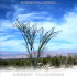 Picture for song 'Cholla Garden' by artist 'decibellirium'