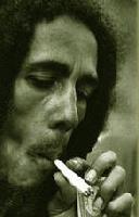 Picture for song 'Jae Markz - illness callabo verse 1' by artist 'Decibel Streetz'