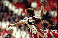 Picture for song 'no baseballgame' by artist 'decoration skills'