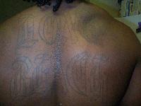 Picture for song 'Set Um Free' by artist 'Dee Blue'