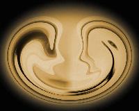 Picture for song 'extacy (US mix)' by artist 'dee green'