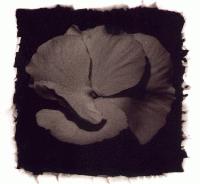 Picture for song 'Another Way' by artist 'DeepOceanVastSea'