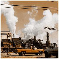 Picture for song 'deko - Tribe Tribute...' by artist 'Deko'