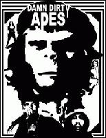 Picture for song 'Who's the Shaddy one now' by artist 'Deko'