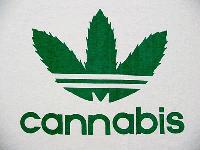 Picture for song 'See Thru' by artist 'Delivery Skills'