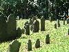 Picture for song 'BRINGING OUT THE DEAD' by artist 'DemoniCorpse'
