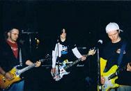 Picture for song 'AndReal Fake' by artist 'DeNots'