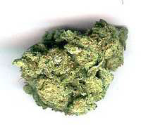 Picture for song 'bsicc - actuall truth' by artist 'denots2'