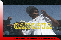Picture for song 'dantrev - gangsta gangsta' by artist 'denots2'