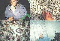 Picture for song 'where just one' by artist 'derek demarco'