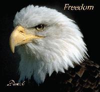 Picture for song 'Freedom' by artist 'DERICK'