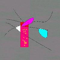 Picture for song 'Sarina shes gonna beat australia and then my heart' by artist 'Descendants of the Firstborn Cell'