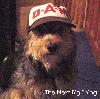Picture for song 'Signs' by artist 'designer thumbs'