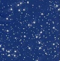 Picture for song 'Dark Stars' by artist 'Destroya Instru'