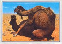 Picture for song 'All the same' by artist 'Destrukters'