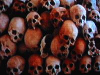 Picture for song 'Red willy wong' by artist 'Destrukters'