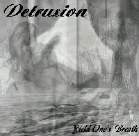 Picture for song 'Quietus' by artist 'Detrusion'