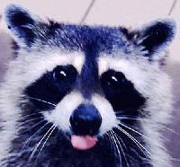 Picture for song 'Impressions' by artist 'dhymond'