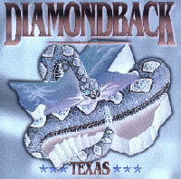 Picture for song 'Georgia On A Fast Train (with Billy Joe Shaver)' by artist 'Diamondback Texas'