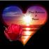 Picture for song ''Til Death Do Us Part' by artist 'Diane Richardson'