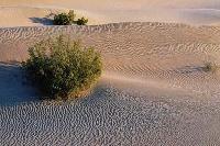 Picture for song 'Ordinary Life' by artist 'Dichotomy'