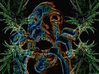 Picture for song 'Apocalypse' by artist 'digital adrenaline'