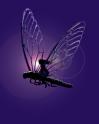 Picture for song 'fly with me' by artist 'digitalamnesia part 1'