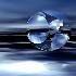 Picture for song 'Blue Planet Ecstasy' by artist 'Digital Banzai'