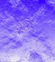 Picture for song 'Frozen December' by artist 'Digita Lee'