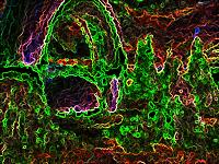 Picture for song 'Becauze (dancedit).' by artist 'DIGITANZ'