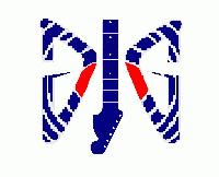 Picture for song 'Next' by artist 'Dig oldmanwise'