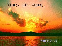 Picture for song 'bone' by artist 'DIM001'