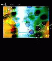 Picture for song 'SIN IS IN' by artist 'DIMENSION 13'