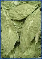 Picture for song 'Divinorum' by artist 'Diode'