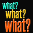Picture for song 'What? What? What?' by artist 'dirkbag'