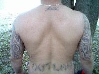 Picture for song 'COPS' by artist 'dirtnap servers'