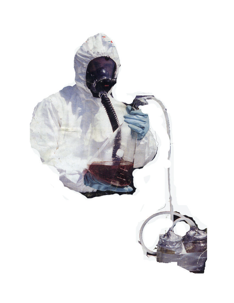 Picture for song 'FesterInduced' by artist 'dirtnap servers'