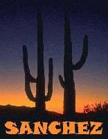 Picture for song 'Narc - Serious Music (sAnChEz Remix)' by artist 'Dirty Sanchez'